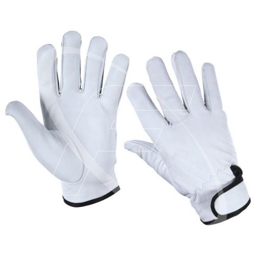 Unlined Premium Goat Leather Driving Gloves FH316