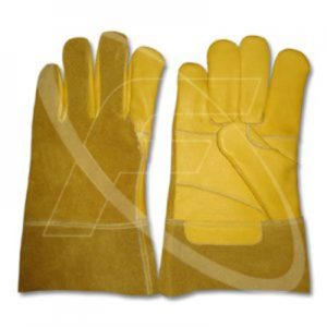 Collection Leather Gloves