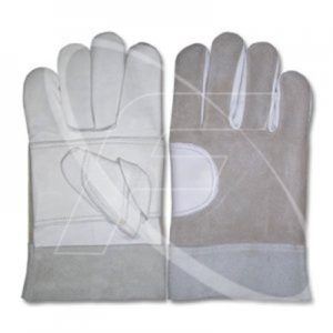 Collection Leather Gloves