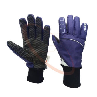Winter Gloves
